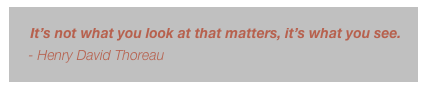 
       It’s not what you look at that matters, it’s what you see.
     - Henry David Thoreau